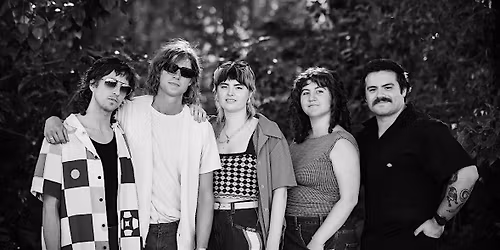 High Court House Show