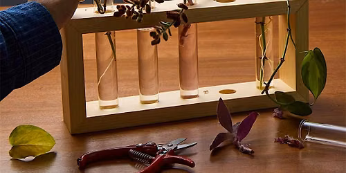 Lee Valley Tools Ottawa Store - Make a Plant Propagation Station