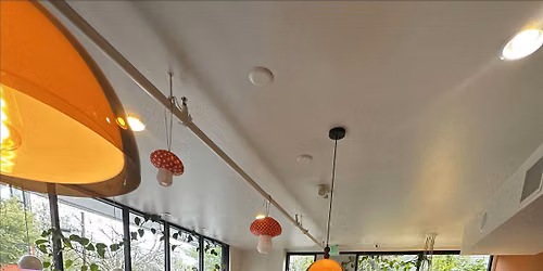 Portland Fungi Fest at Los Hongos Cafe