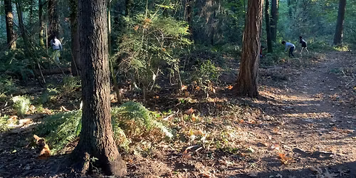 Mindfulness Walks in Pioneer Park