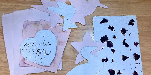 Vital & Creative: Handmade Seed Paper for Ages 55+