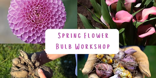 Spring Flower Bulb Workshop