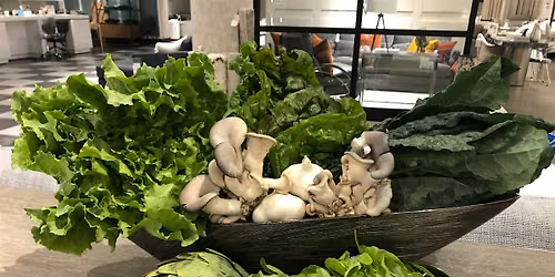 Introduction to How Foods Fight Cancer