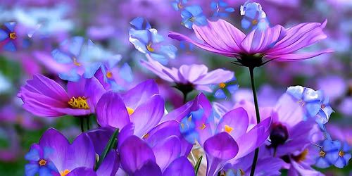 2026 Aging Well Spring Gala