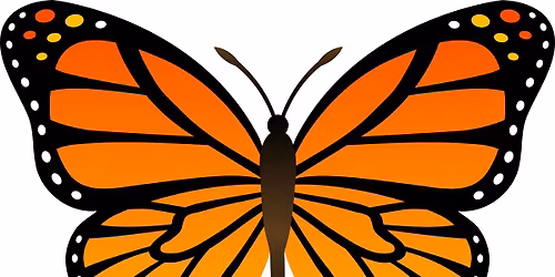 Butterfly Open Development Circle