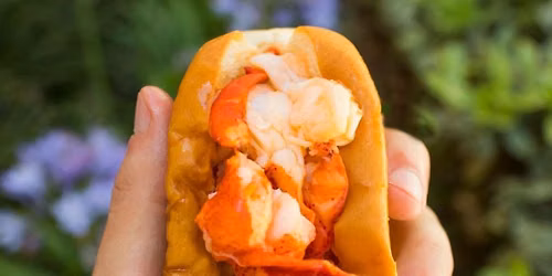 Campus Church Food Truck Festival in Pensacola, FL