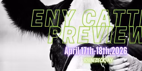 ENY Cattle Preview Jackpot Show 