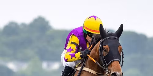 Fair Hill Showcase Flat Racing