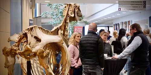 EGAS Annual Event 2026: Equine Gait Analysis