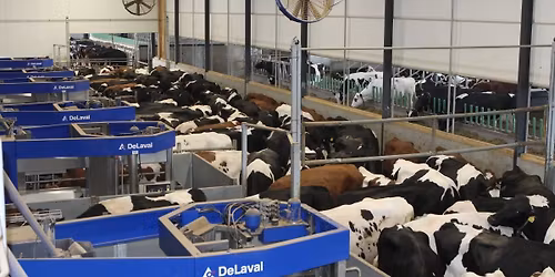 EDF Storm\u00f8de - Lene og Michael Jensen, Havredalsg\u00e5rd