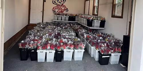 Mineral Point Lions Club Rose Sale