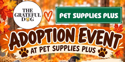 The Grateful Dog Rescue & Pet Supplies Plus Windham Maine: Adoption Event! \ud83d\udc3e\ud83c\udf42