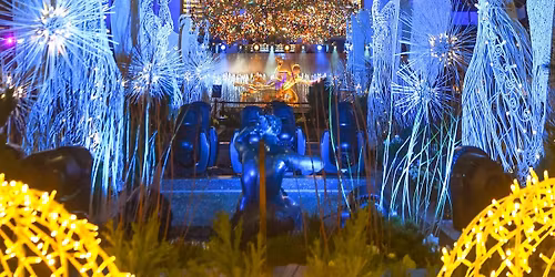 New York City @ Christmas \/ Santa Con Saturday $59 per person