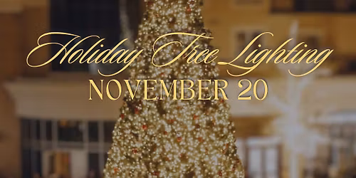 18th Annual Tree Lighting 