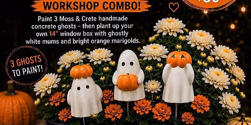 \ud83c\udf83\ud83d\udc7b Plant a Halloween Ghost Box! Workshop Combo \ud83d\udc7b\ud83c\udf83