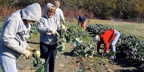 Saturday Volunteer & Learning Day on the Souper Farm 11.7