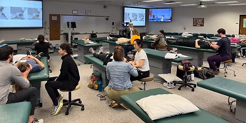 Pediatric Manual Medicine