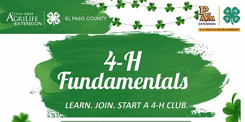4-H Fundamentals