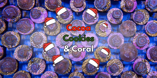 Cocoa, Cookies & Coral