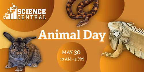 Animal Day