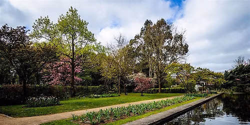 Evening Tree Walk in the Gardens