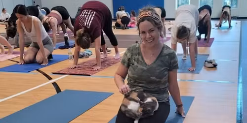 Paws and Reflect Kitten Yoga 