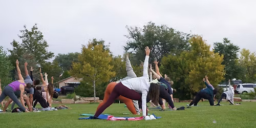 Yoga in the Park - Summer series with Vibin Yoga