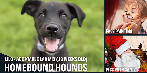 Deck the Paws with Homebound Hounds at KAHOOTS Solana Beach