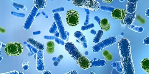 Saturday DNA! NYC - Microbiome: The World Inside You