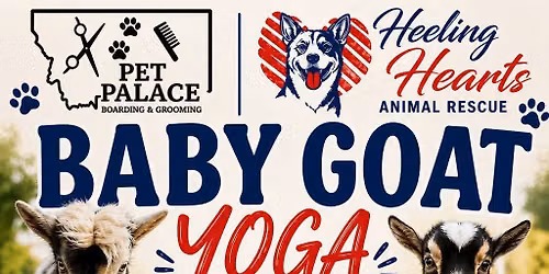 Baby Goat Yoga + Highland Cows + Pet Adoptions