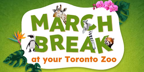 March Break at your Toronto Zoo \ud83d\udc9a