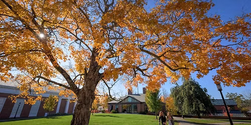 Parking The Nutcracker - St. Paul