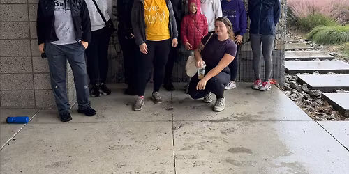 One Small Step Walks