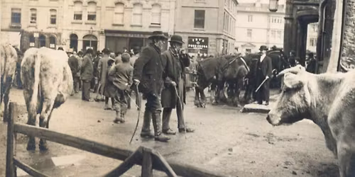 Chippenham Museum: Our History Day