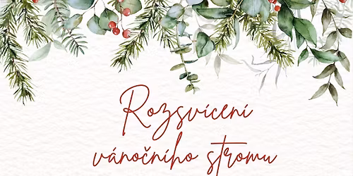 Rozsv\u00edcen\u00ed v\u00e1no\u010dn\u00edho stromu 