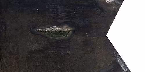 Paroda \u201eDar vienas Miegan\u010di\u0173j\u0173 apsivertimas\u201c