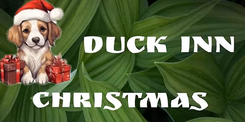 Jumper Day Dog Competition 