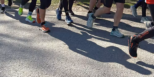 Trosa Ultra Backyard 2026