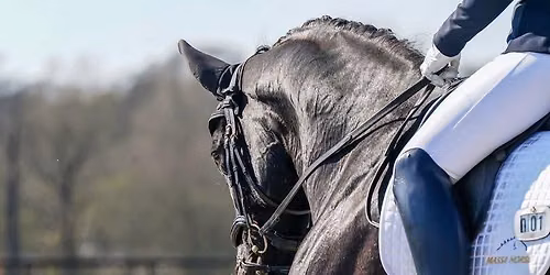 Golden Cross BD and Unaffiliated Dressage, Sunday 13 September.G