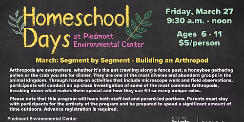 Elementary Homeschool Days - March: Segment by Segment: Building the Arthropod