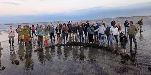 Sandwich Bay Low-tide walk