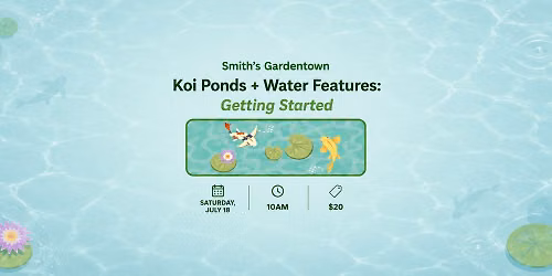 Koi Ponds + Water Features: Getting Started 