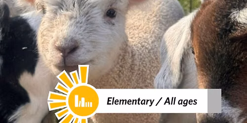 Discovery Days: Farmyard Friends!