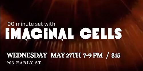 Ecstatic Dance @ Paradiso live set with local dj Imaginal Cells