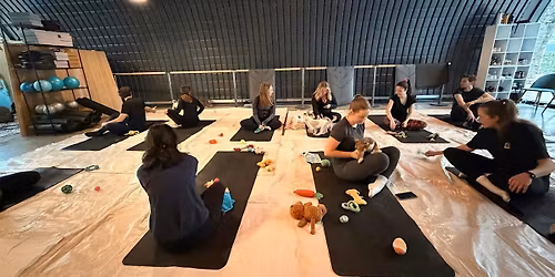 Puppy Yoga - Sausage Pups