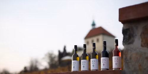 SVATOMARTINSK\u00dd P\u0158\u00cdPITEK | Vinot\u00e9ka sv. Kl\u00e1ry