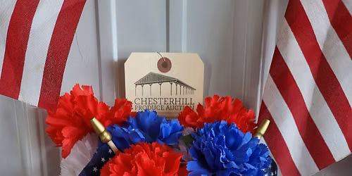 Independence Day Potluck and Auction