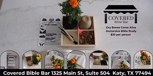 Dry Bones Come Alive Immersive Bible Study $30 per person