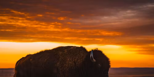 Bobwire S Custom Hats \u2014 April 11