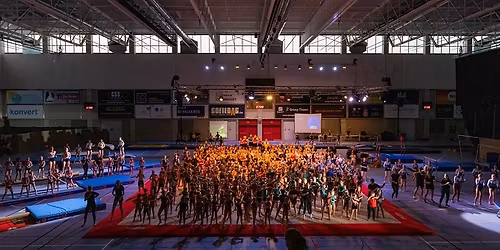 K.T. Aalst presents: INTO THE WOODS